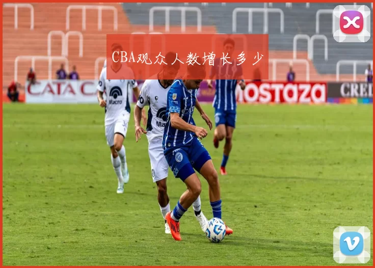 CBA观众人数增长多少