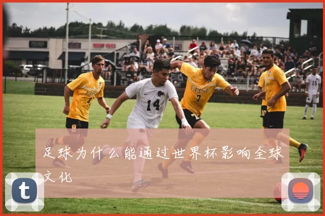 足球为什么能通过世界杯影响全球文化