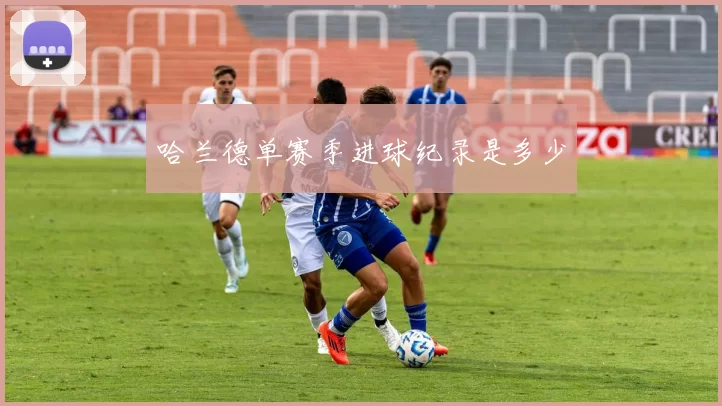 哈兰德单赛季进球纪录是多少
